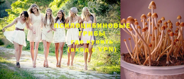 mix Медвежьегорск