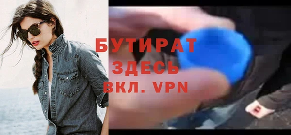 стаф Тайга