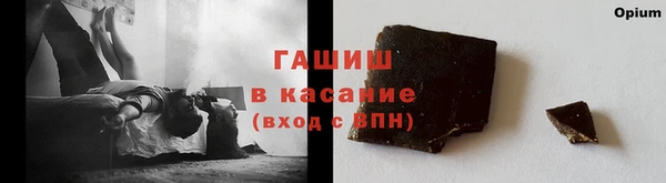 шишки Новодвинск