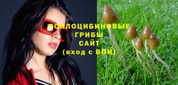 mix Медвежьегорск